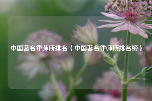 中国著名律师所排名（中国著名律师所排名榜）