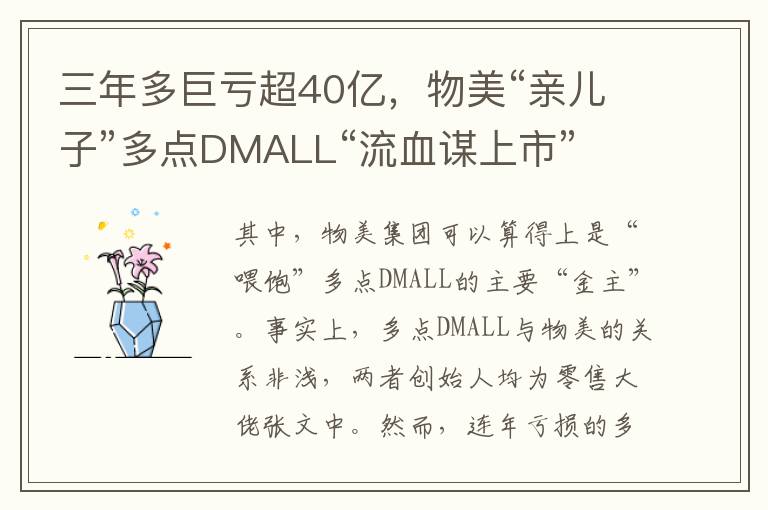 三年多巨亏超40亿，物美“亲儿子”多点DMALL“流血谋上市”